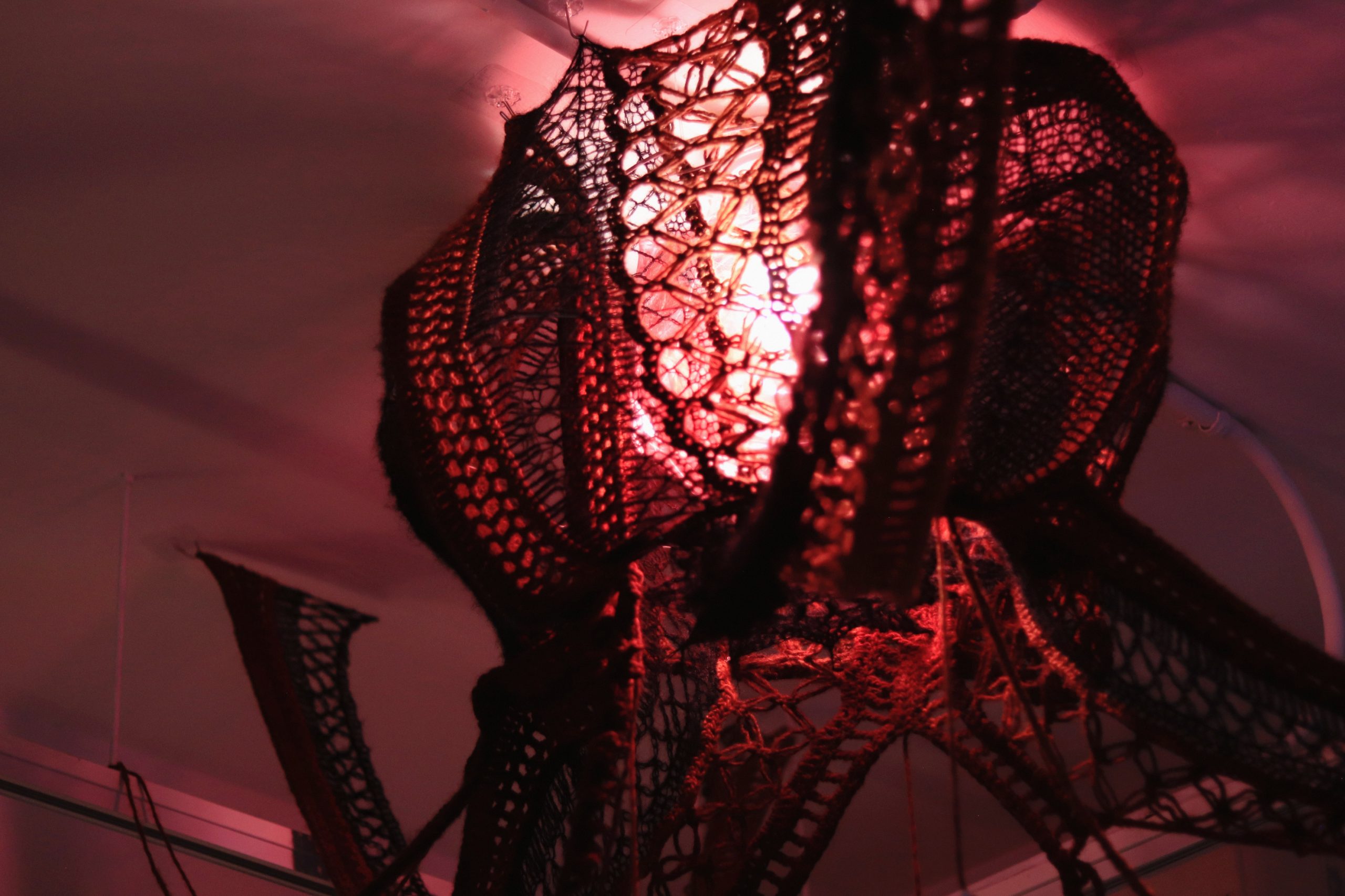 Treeansmission: Discovering and Sharing Through Crochet